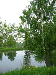 Кликните, чтобы увеличить