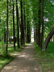 Кликните, чтобы увеличить