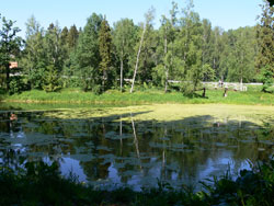 Кликните, чтобы увеличить